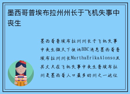 墨西哥普埃布拉州州长于飞机失事中丧生