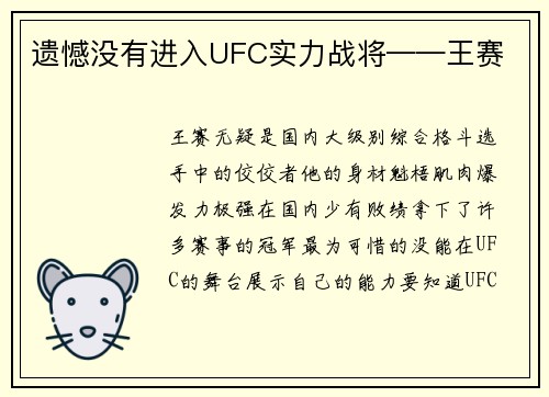 遗憾没有进入UFC实力战将——王赛